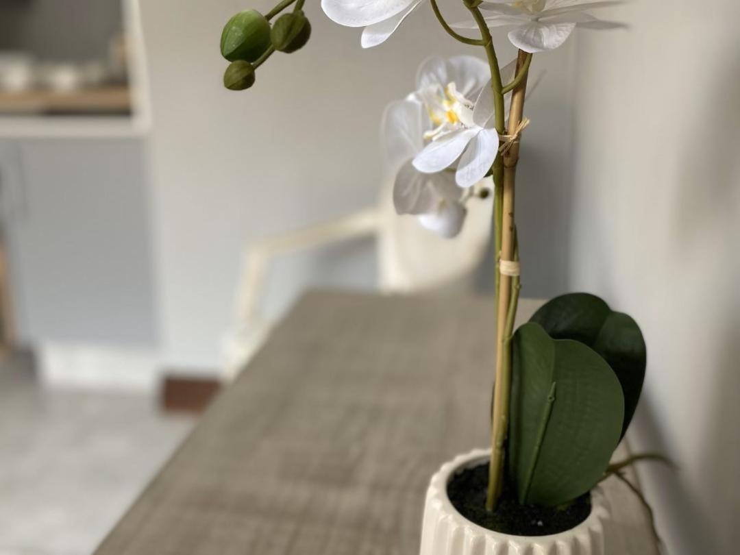 Staysure Guesthouse Alberton Esterno foto